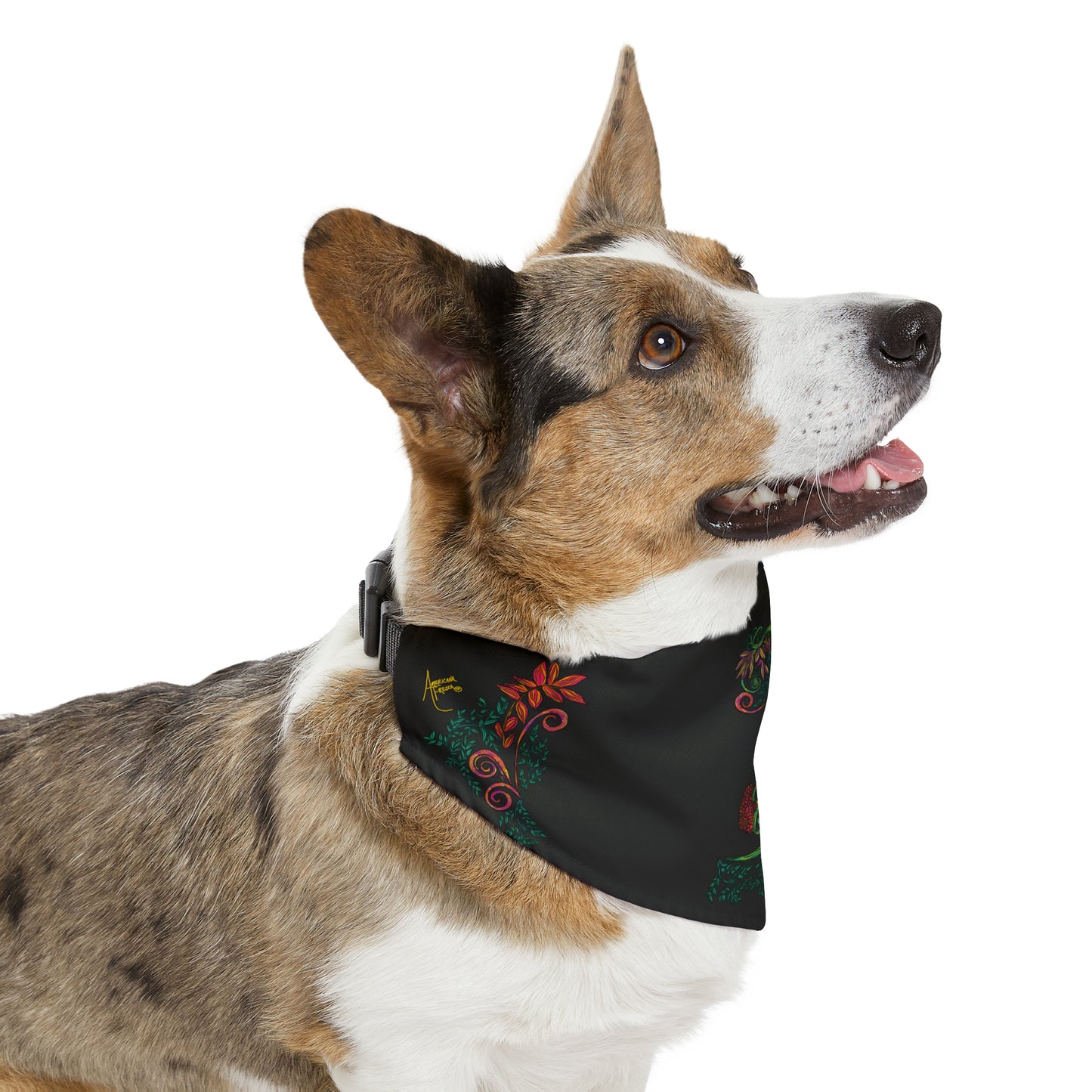 Flourished Fury Bandana Collar